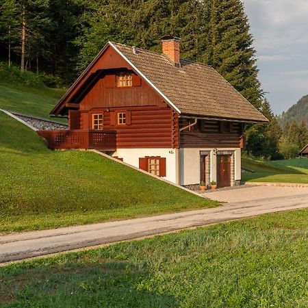 בוהין Chalet Ajda מראה חיצוני תמונה